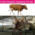 Beef Cattle Cow Slaughterhouse Abattoir Equipment